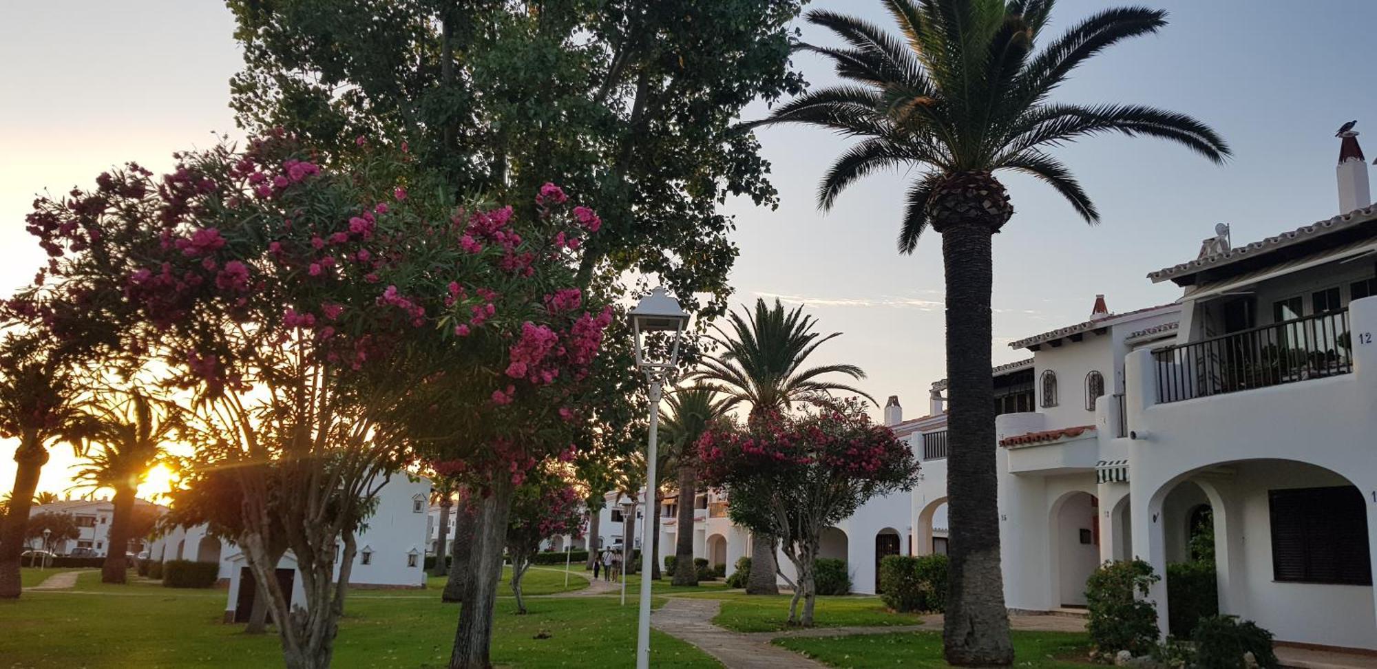 Luna Son Bou Kamer foto